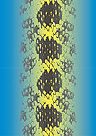 兰色蛇纹
