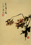 芙蓉一枝