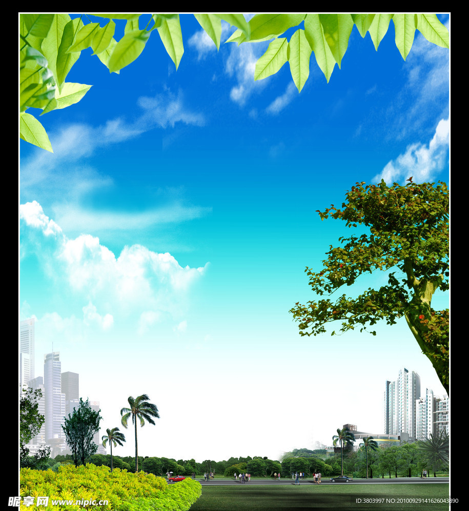 风景