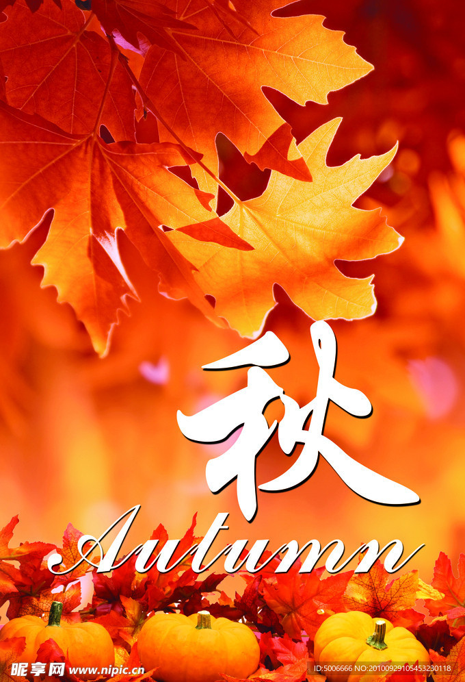 秋天吊旗