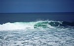 海水