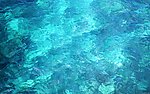 海水