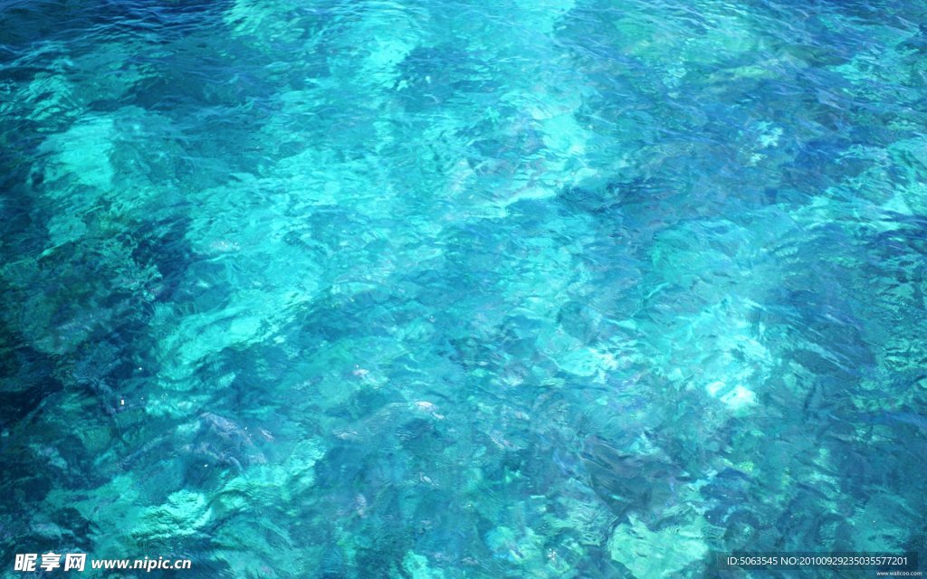 海水