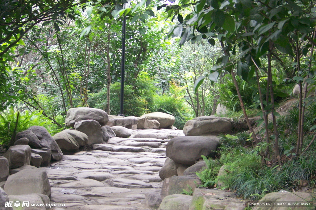 林荫小路