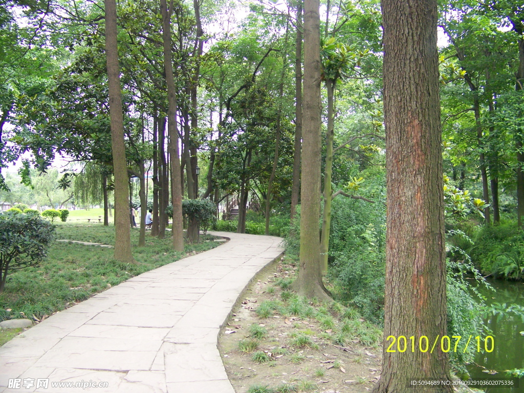 林荫小路
