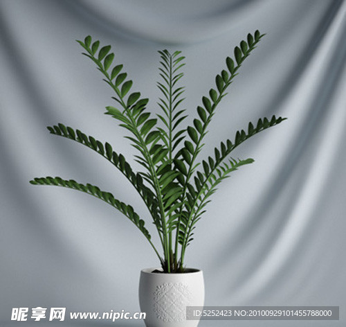 3D精美盆栽植物模型