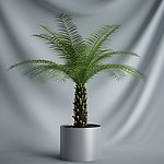 盆栽植物三维模型