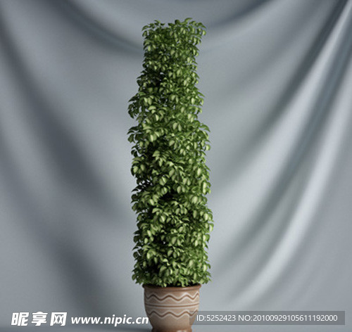 盆栽植物3D模型