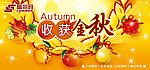 秋季吊旗
