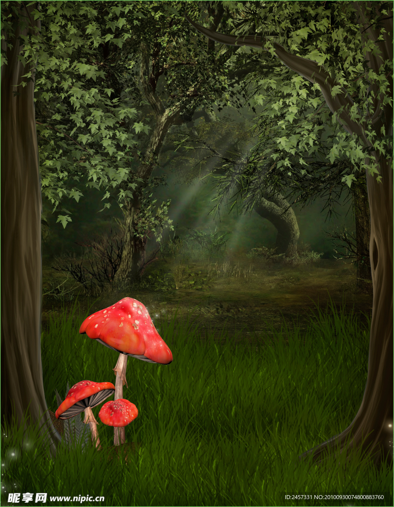 梦幻森林 童话世界 蘑菇