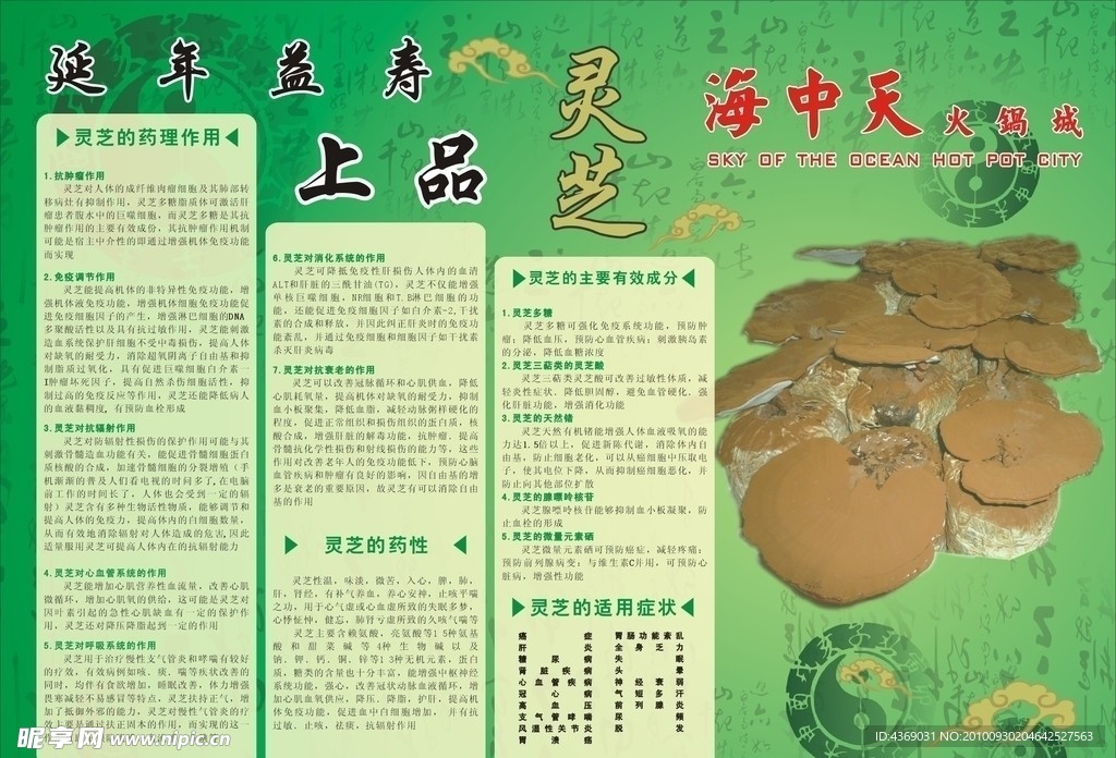 餐纸