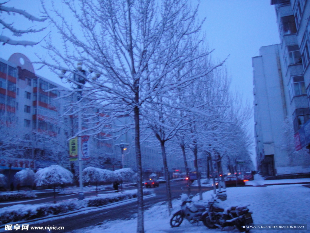 虎林第一场雪