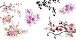 缤纷花