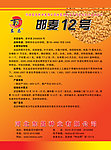邯麦12