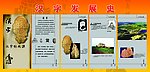 汉字发展史