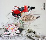 睡莲鸳鸯