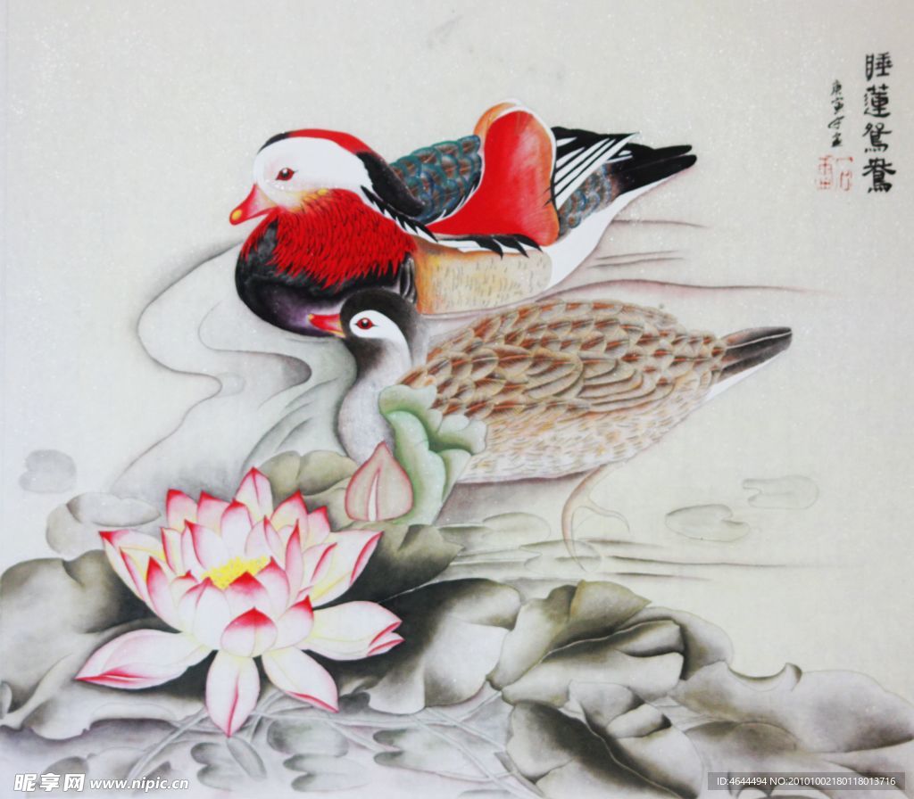 睡莲鸳鸯