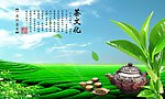 茶文化