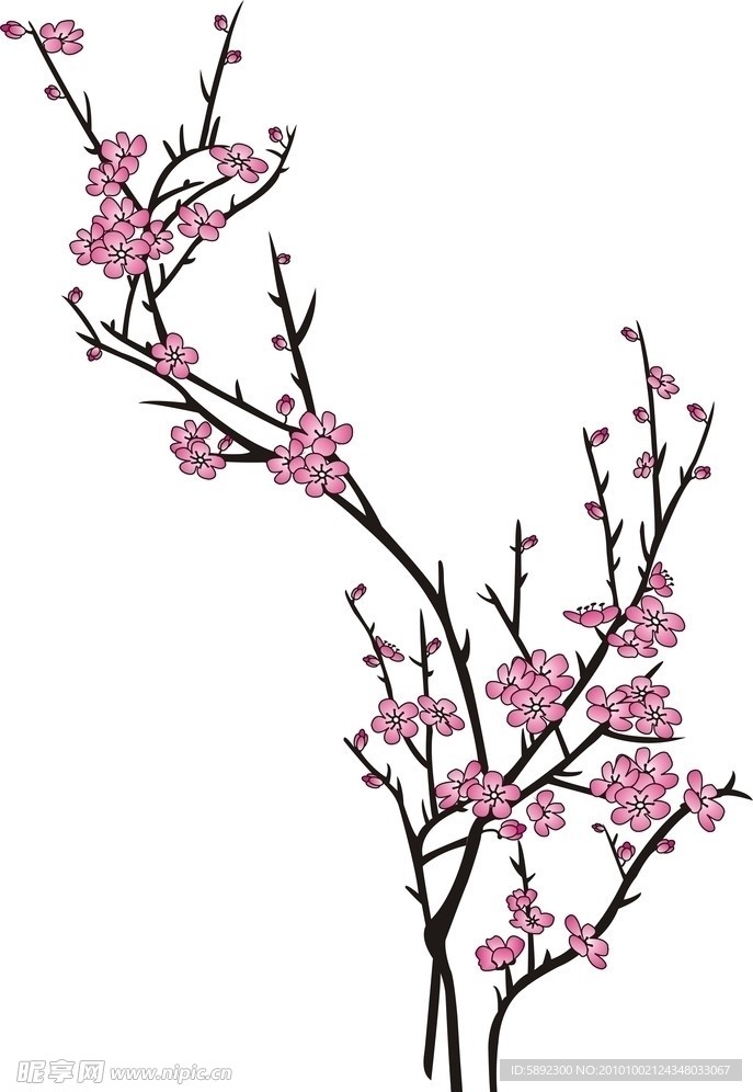 梅花