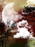 浪漫世界 树木 星球 影楼背景