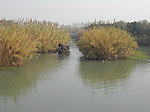 沙家浜