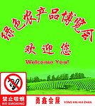 绿色农产品博览会会海报