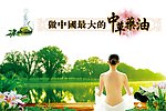 香草精油展板模板