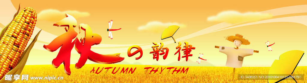 秋天 玉米