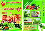 蔬菜宣传页