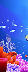 海底世界梦幻珊瑚