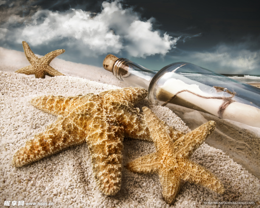 沙滩上的海星