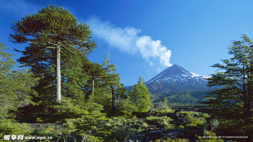 自然风景