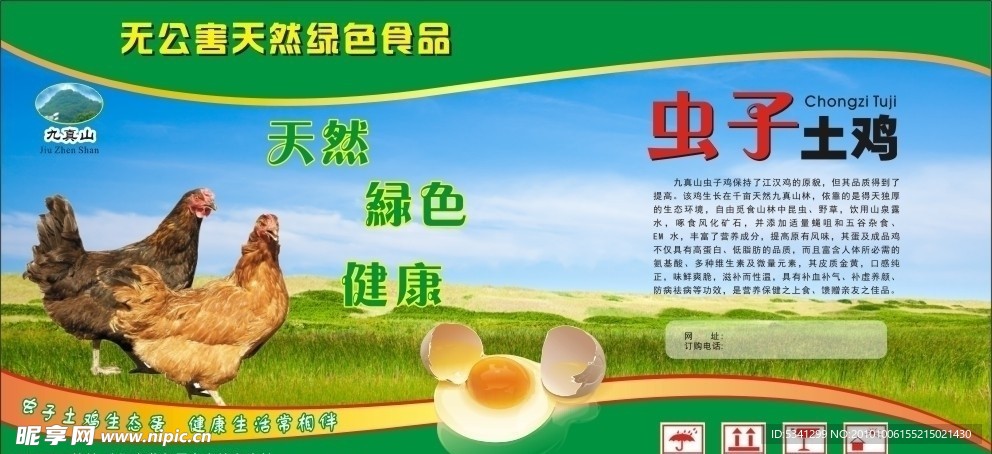 虫子土鸡