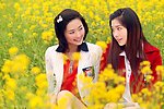 开往春天的花海