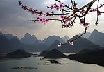 桃花湖