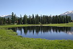 喀纳斯 五彩滩 五彩湾 风景 草地 大自然 湖泊 绿草