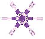 巧克力 六角型 包装盒 设计