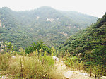 风景