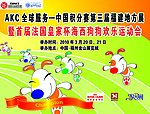 狗狗比赛