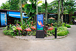 新加坡鸟公园裕廊飞禽公园