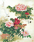 花图片