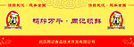 周记黑鸭 玻璃条