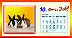 2011台历 兔子 日历 吉祥如意