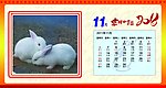 2011台历 兔子 日历 吉祥如意