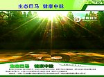 中脉科技展板