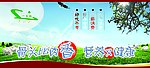 羊脊骨