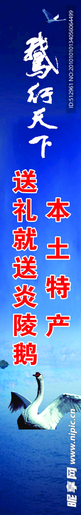 鹅行天下