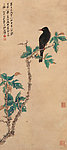 八哥