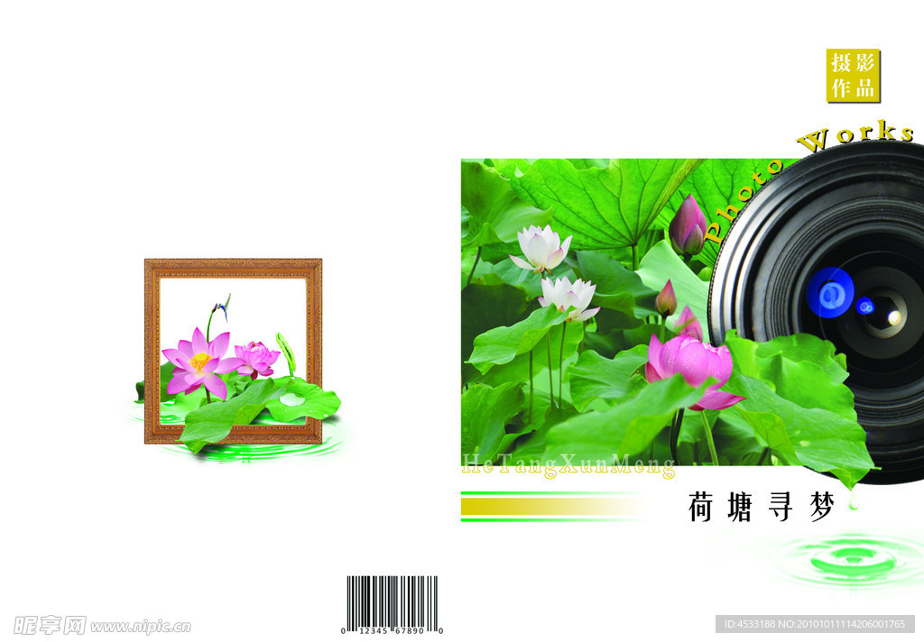 荷塘寻梦 封面