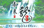 春来茶主题